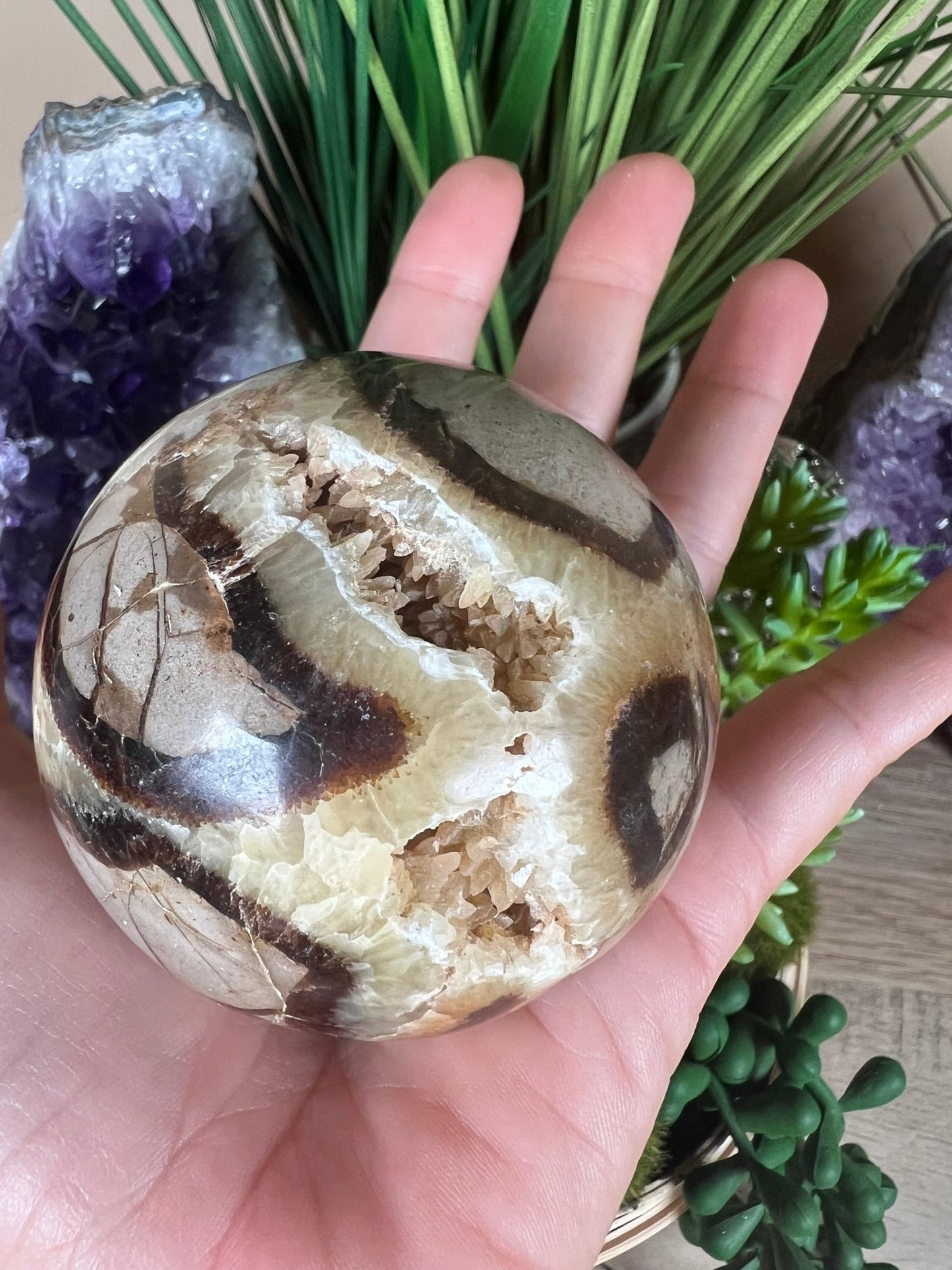 Septarian Sphere 66mm (2.6") - Purple Door Alchemy