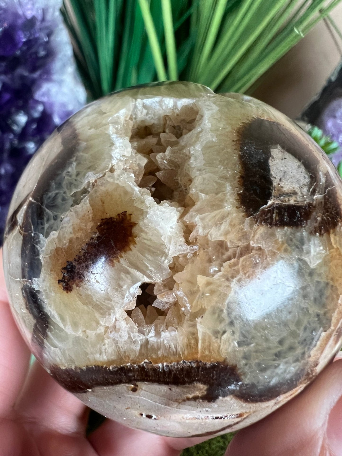 Septarian Sphere 66mm (2.6") - Purple Door Alchemy