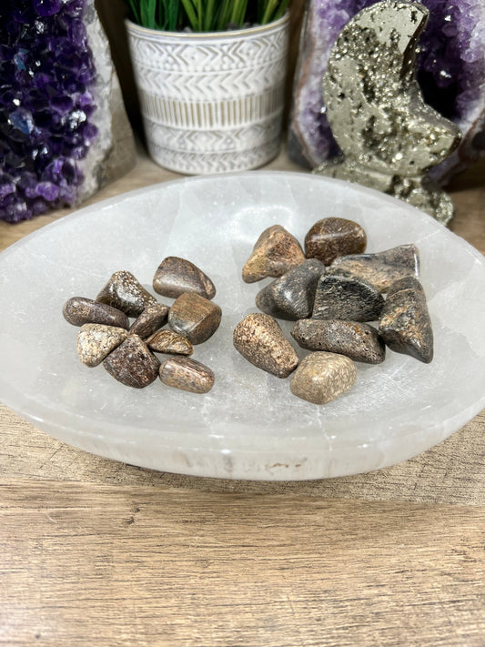 Tumbled Dinosaur Bone - Purple Door Alchemy