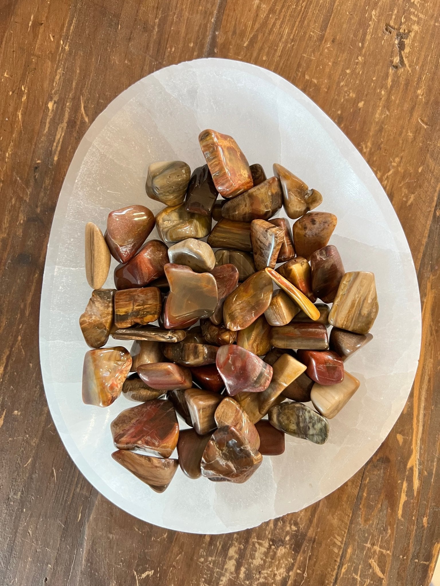 Tumbled Petrified Wood - Purple Door Alchemy