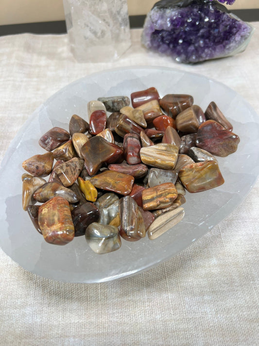 Tumbled Petrified Wood - Purple Door Alchemy