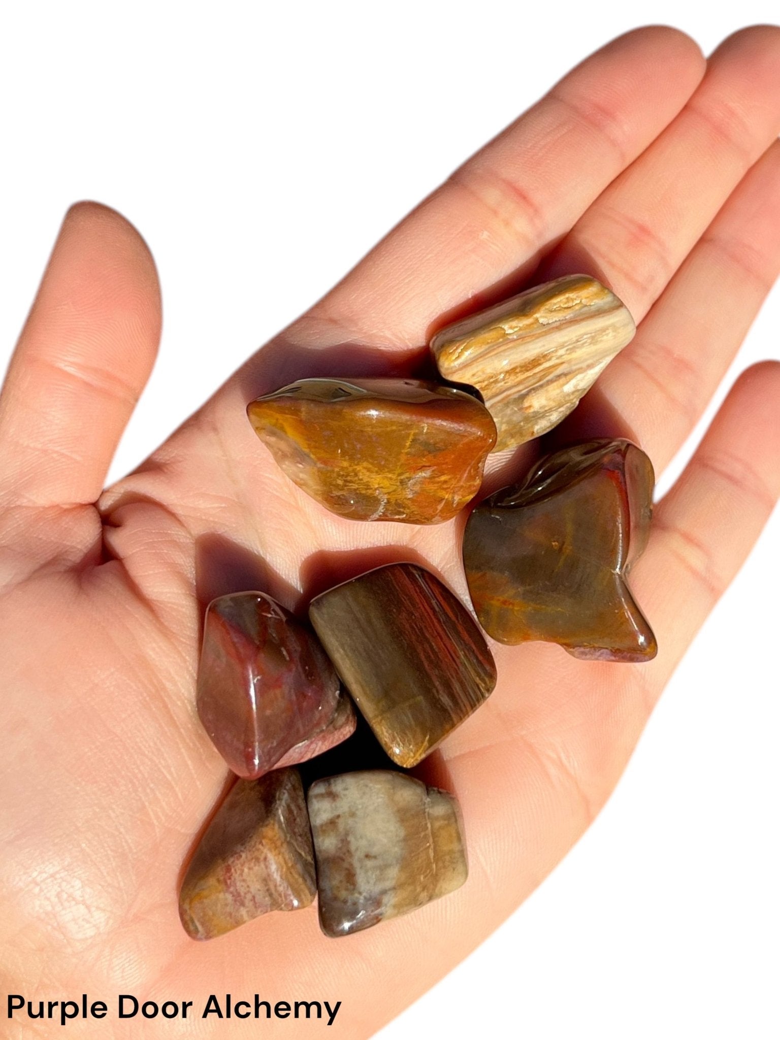 Tumbled Petrified Wood - Purple Door Alchemy