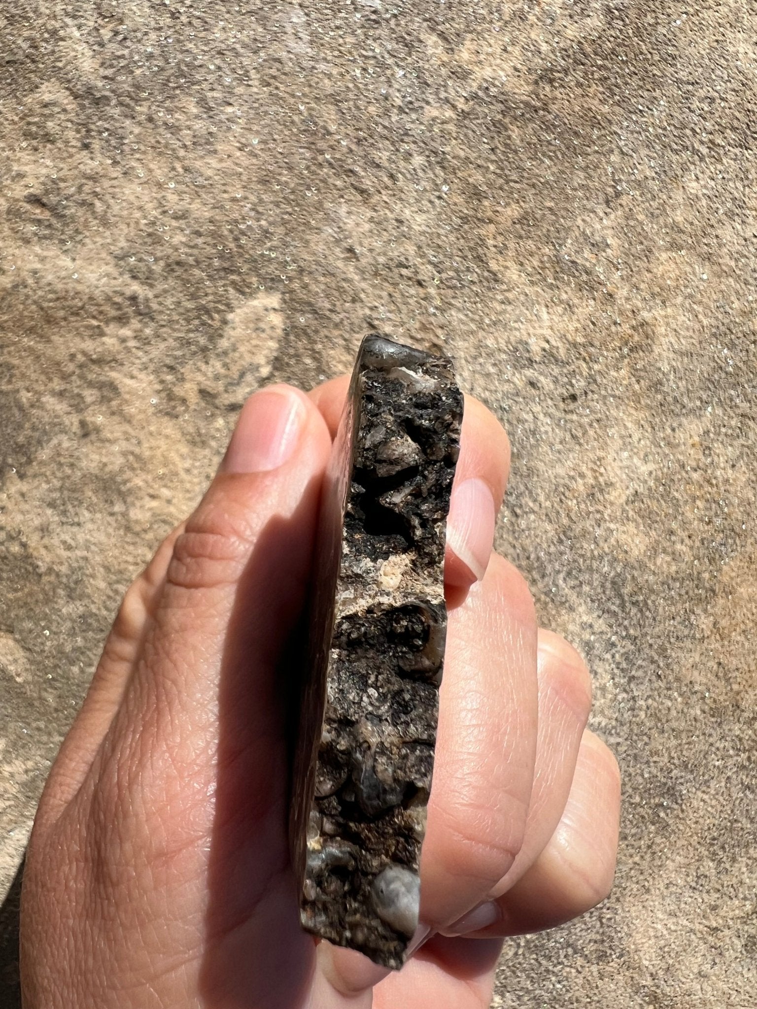 Turritella Fossil Agate Slab 48g - Purple Door Alchemy