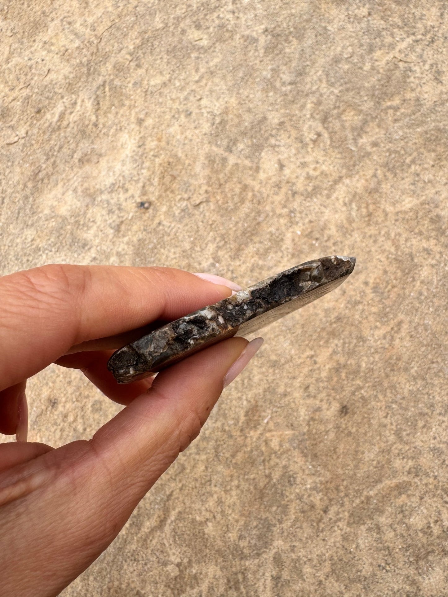 Turritella Fossil Agate Slab 53g - Purple Door Alchemy