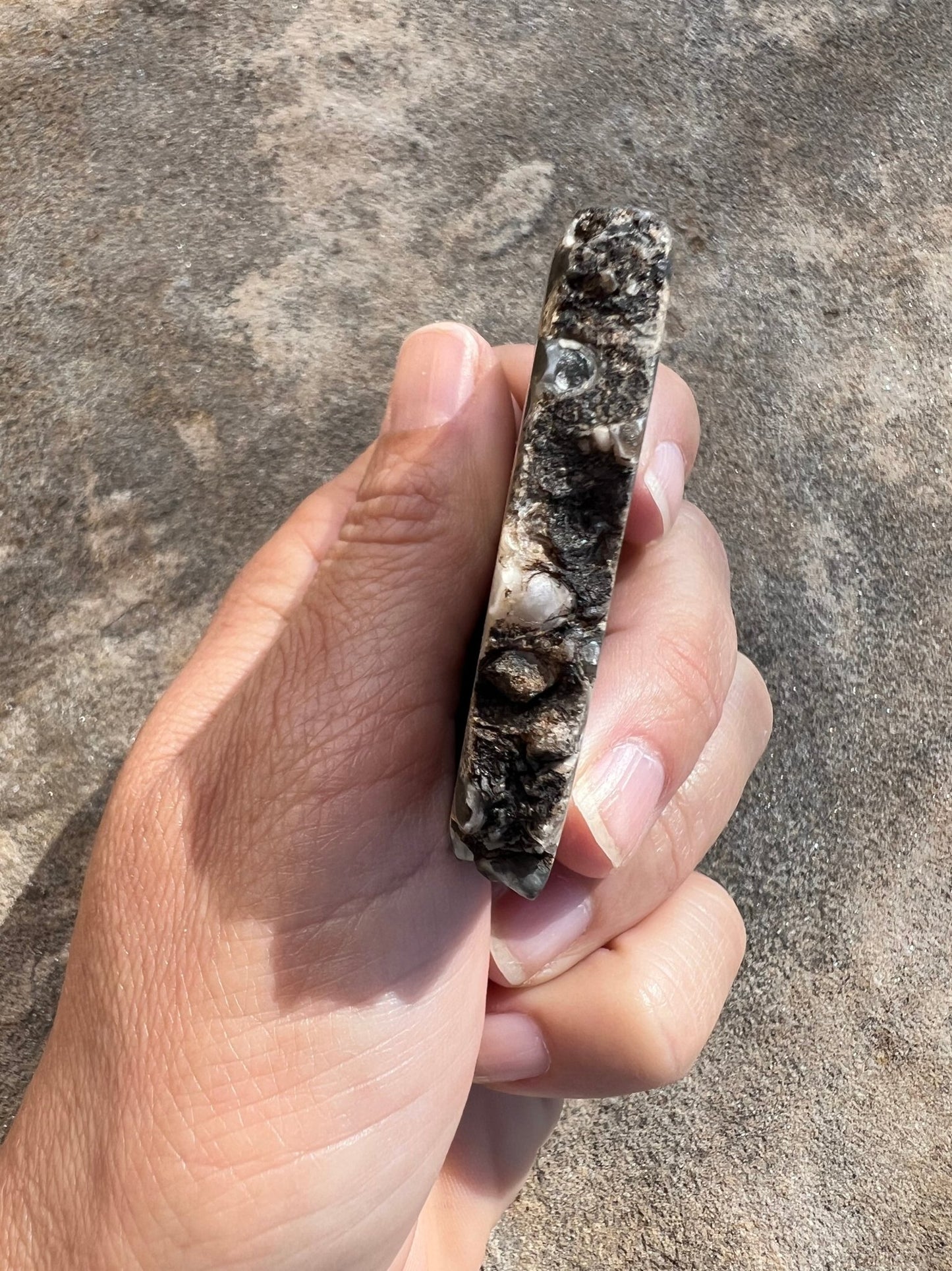 Turritella Fossil Agate Slab 60g - Purple Door Alchemy