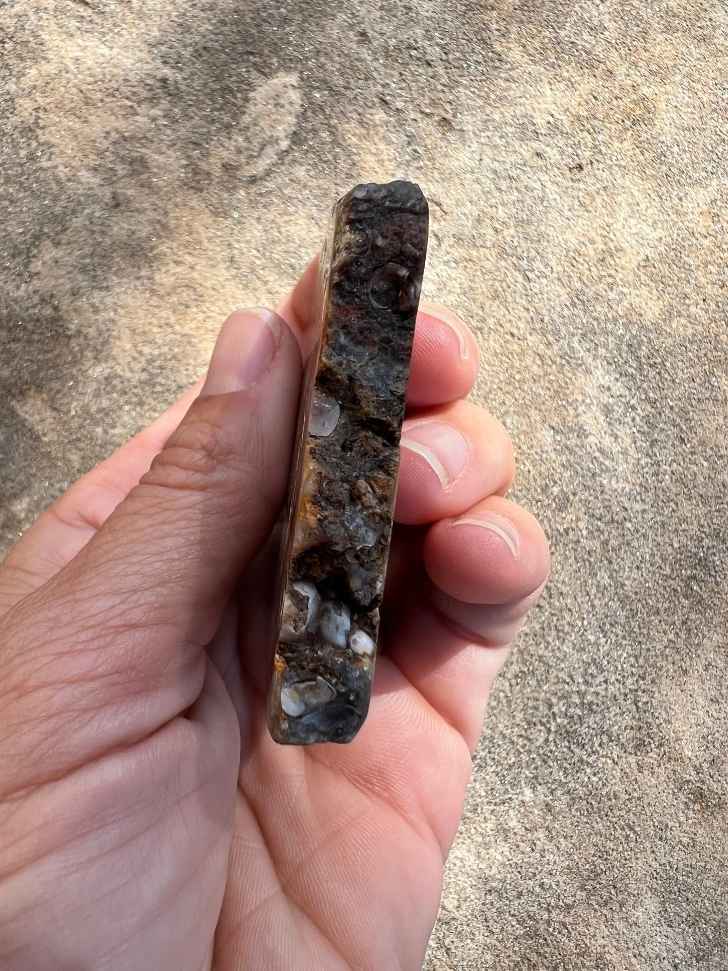 Turritella Fossil Agate Slab 60g - Purple Door Alchemy