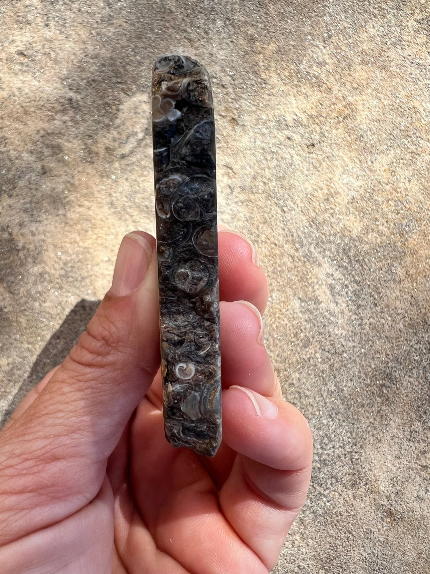 Turritella Fossil Agate Slab 60g - Purple Door Alchemy