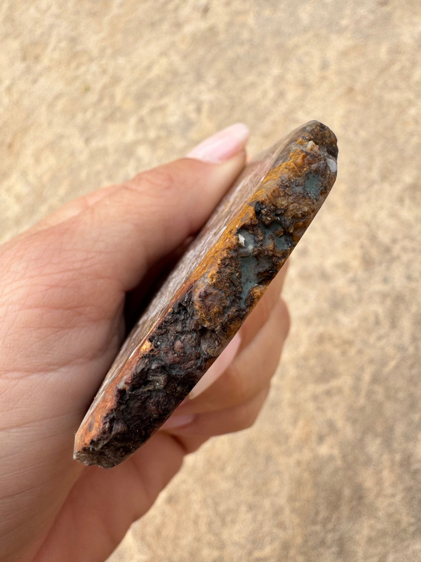Turritella Fossil Agate Slab 62g - Purple Door Alchemy