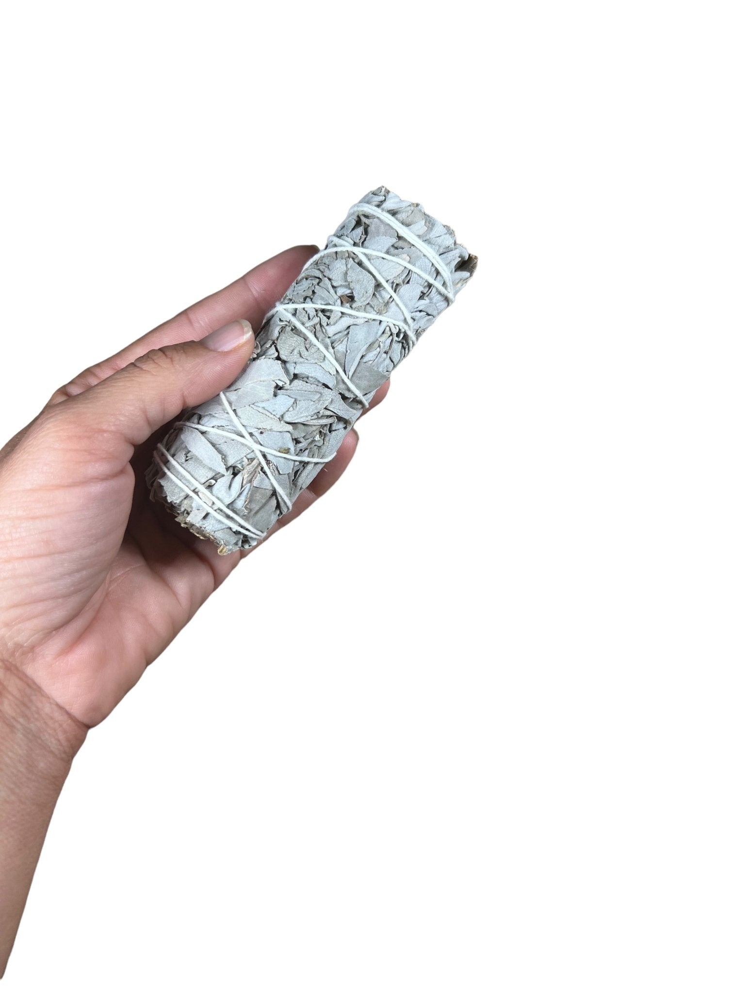 White Sage Smudge Stick - Purple Door Alchemy
