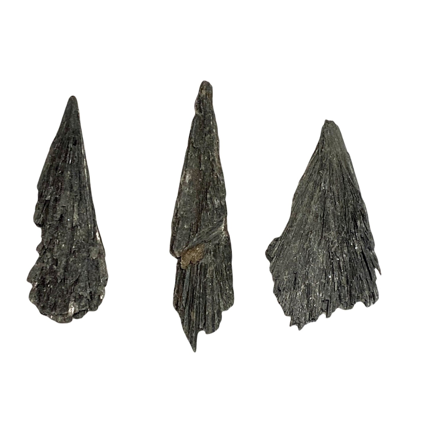 Black Kyanite - Purple Door Alchemy