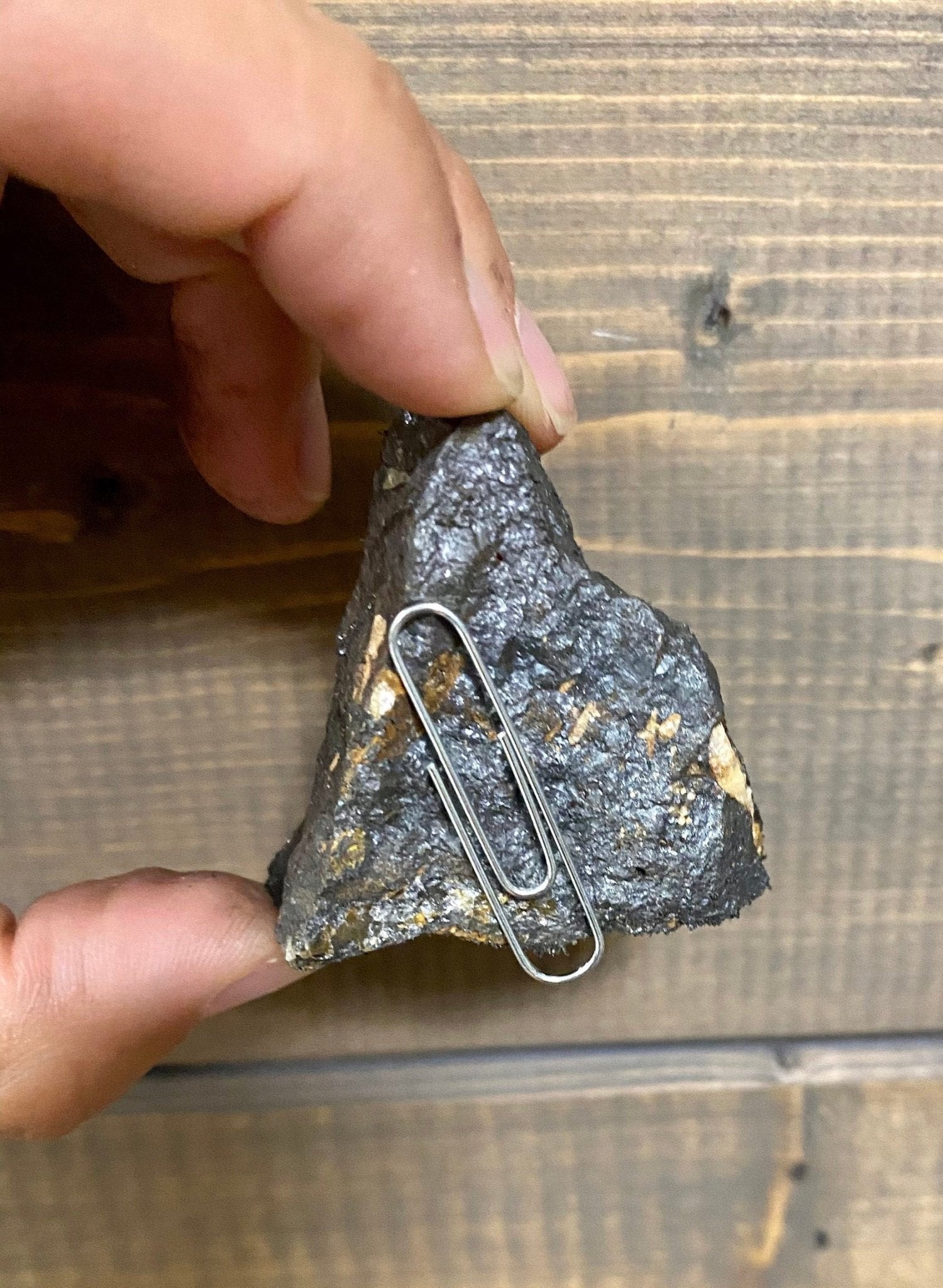 Lodestone and Lodestone Food Set - Purple Door Alchemy