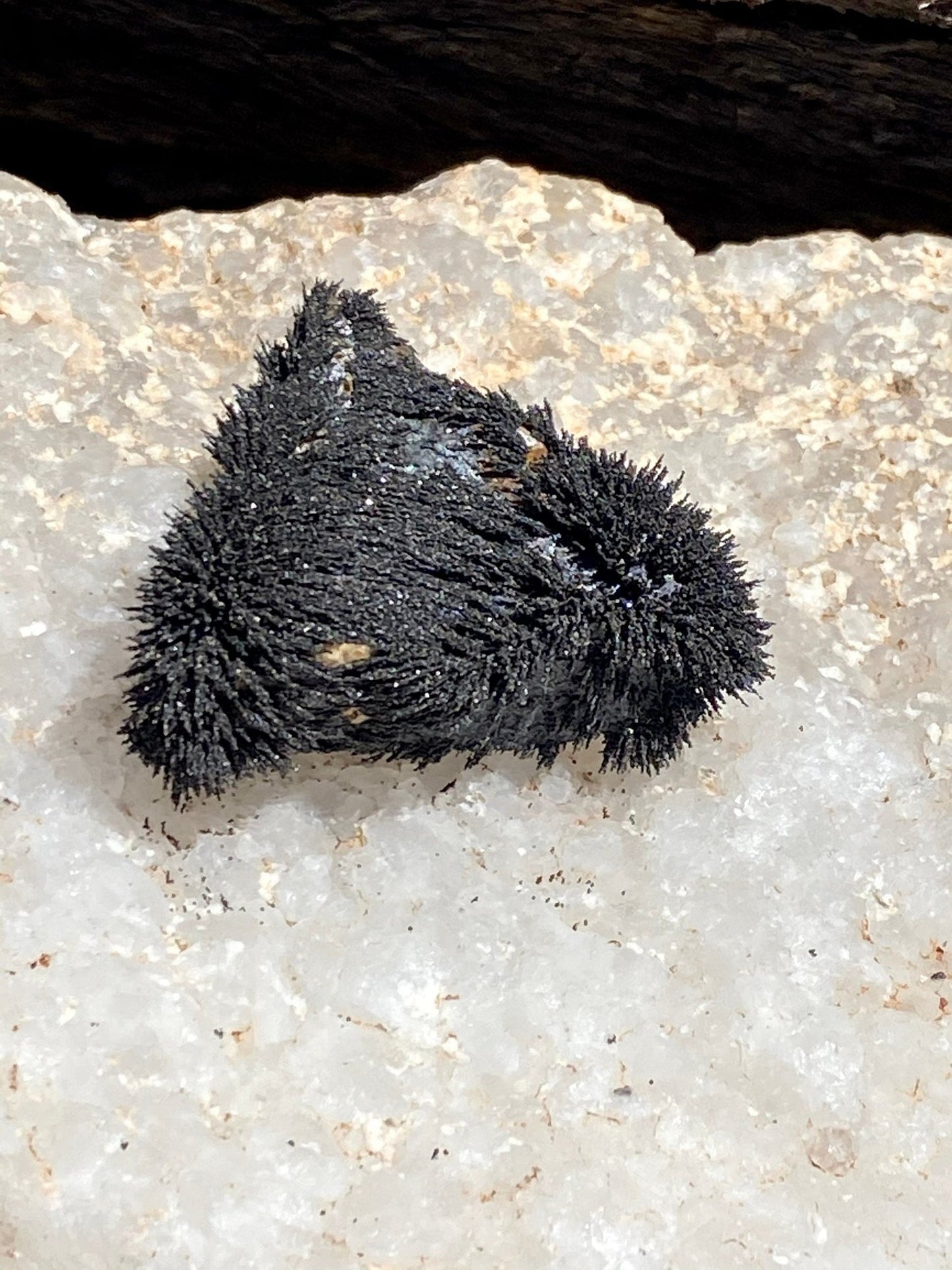 Lodestone and Lodestone Food Set - Purple Door Alchemy