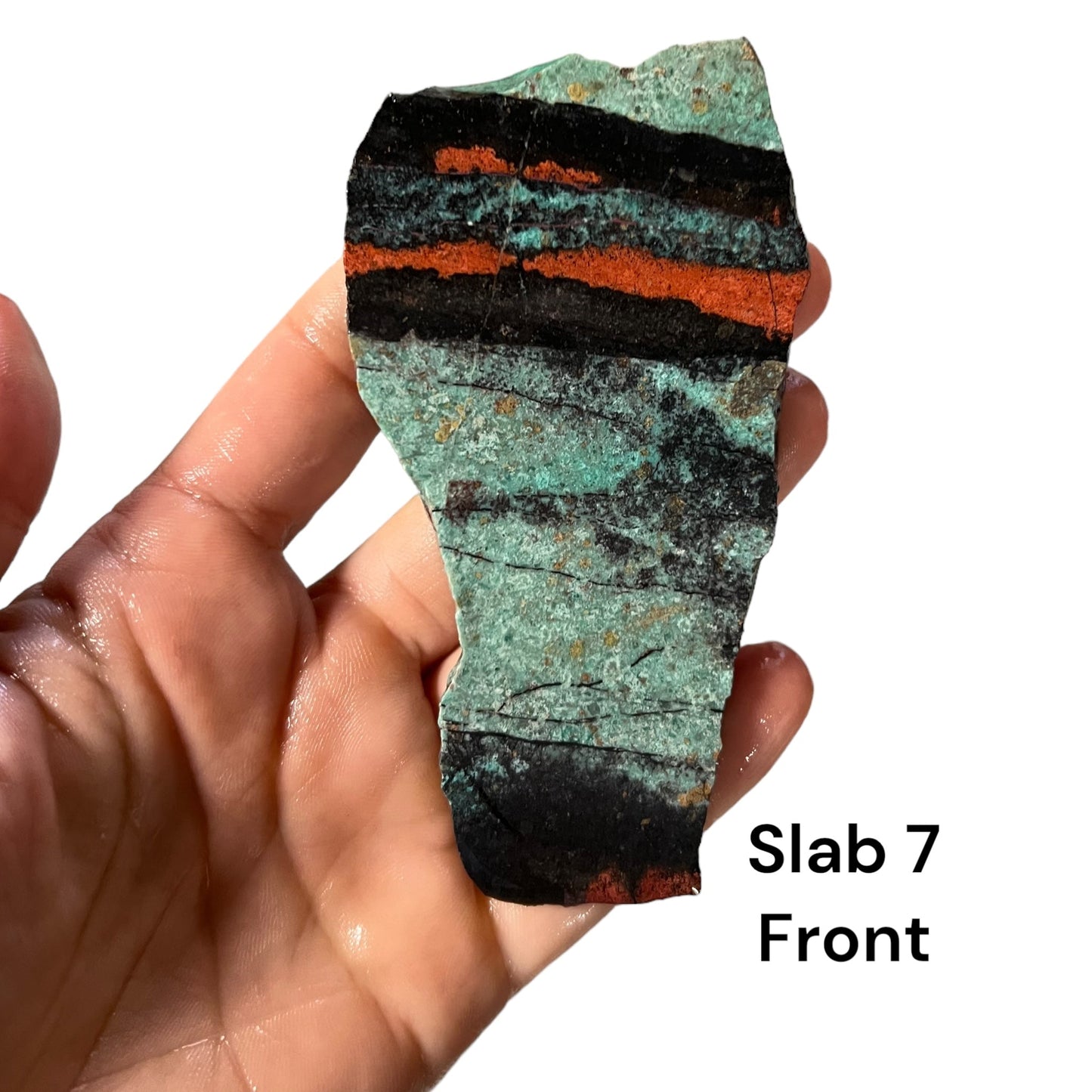 Sonoran Sunrise Chrysocolla Slabs 6 - 10 - Purple Door Alchemy