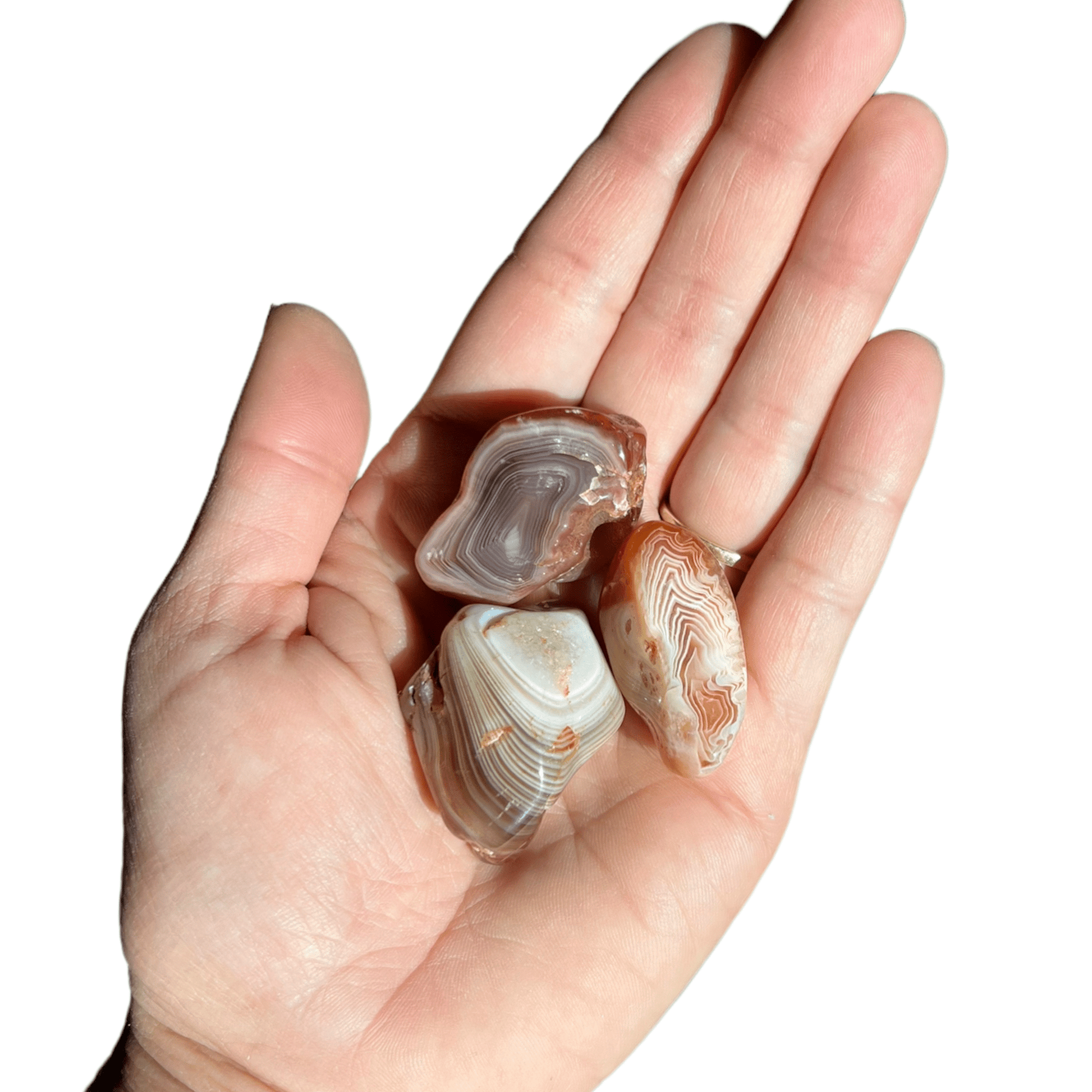 Tumbled Botswana Agate - Purple Door Alchemy