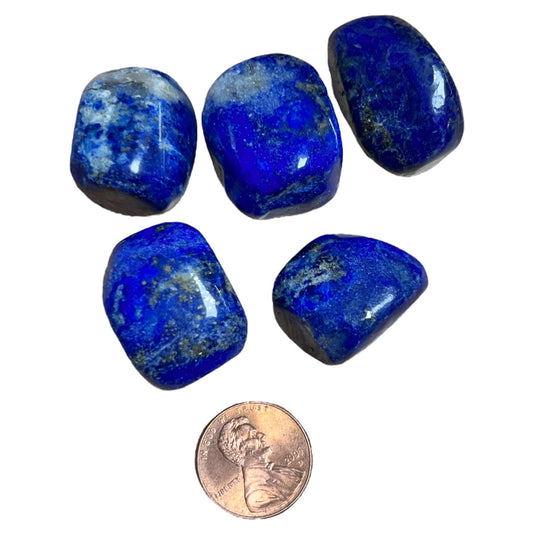 Tumbled Lapis Lazuli - Purple Door Alchemy