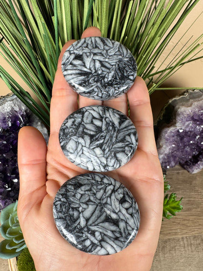 Pinolith Palm Stone