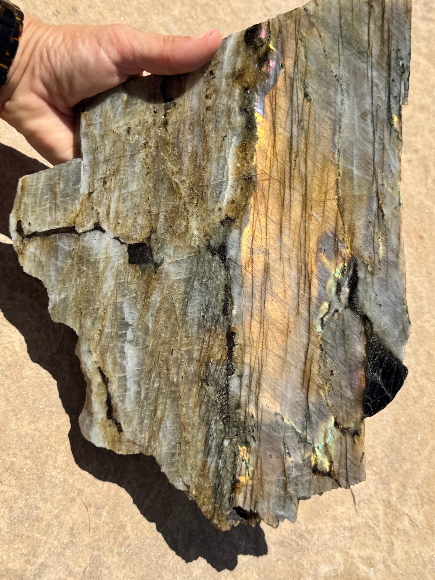 XL Golden Flash Labradorite Polished Slab 1154g