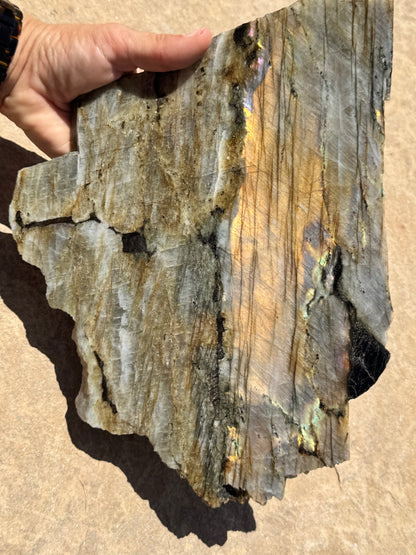 XL Golden Flash Labradorite Polished Slab 1154g