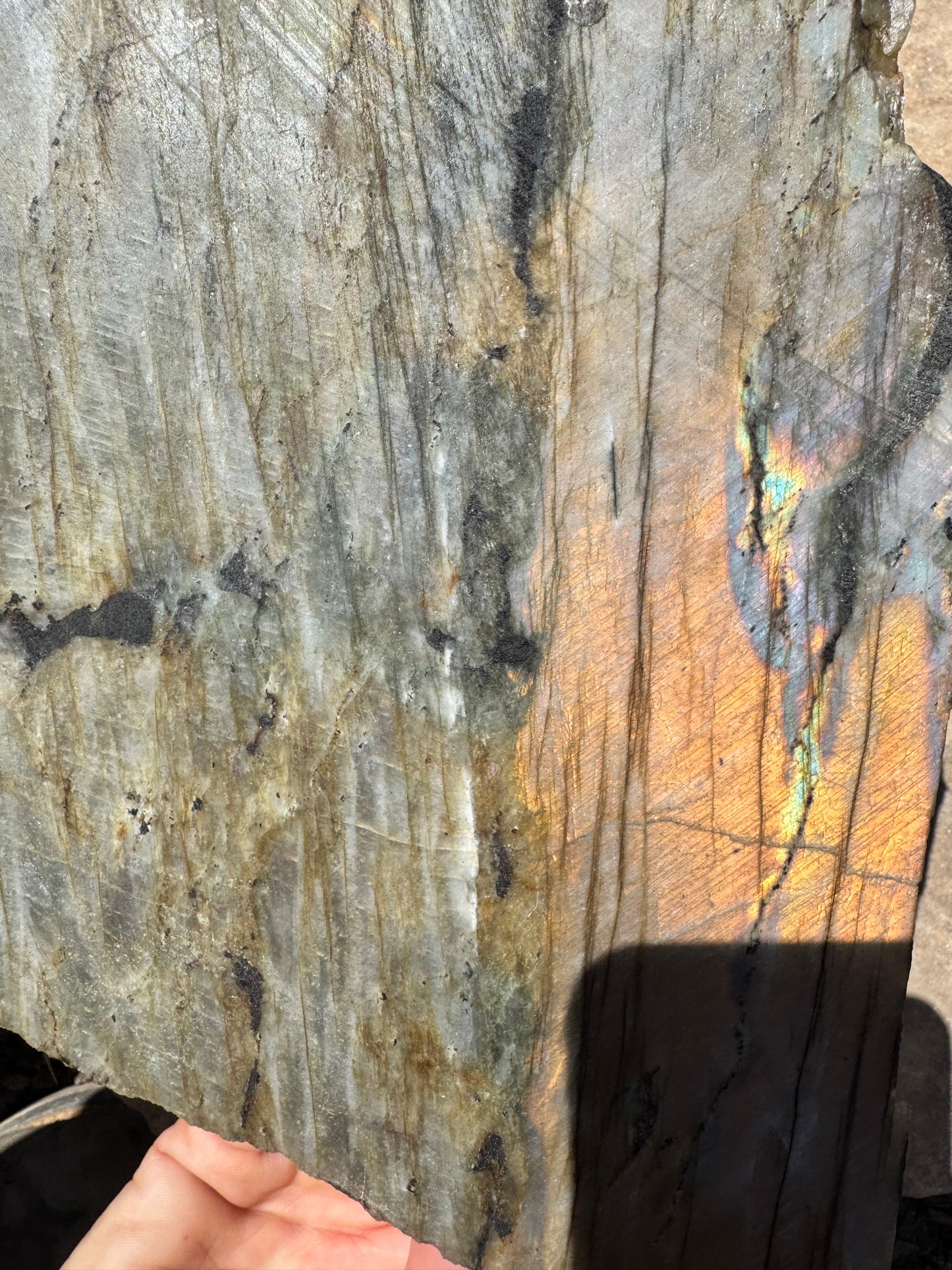 XL Golden Flash Labradorite Polished Slab 1154g