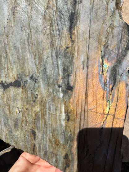 XL Golden Flash Labradorite Polished Slab 1154g