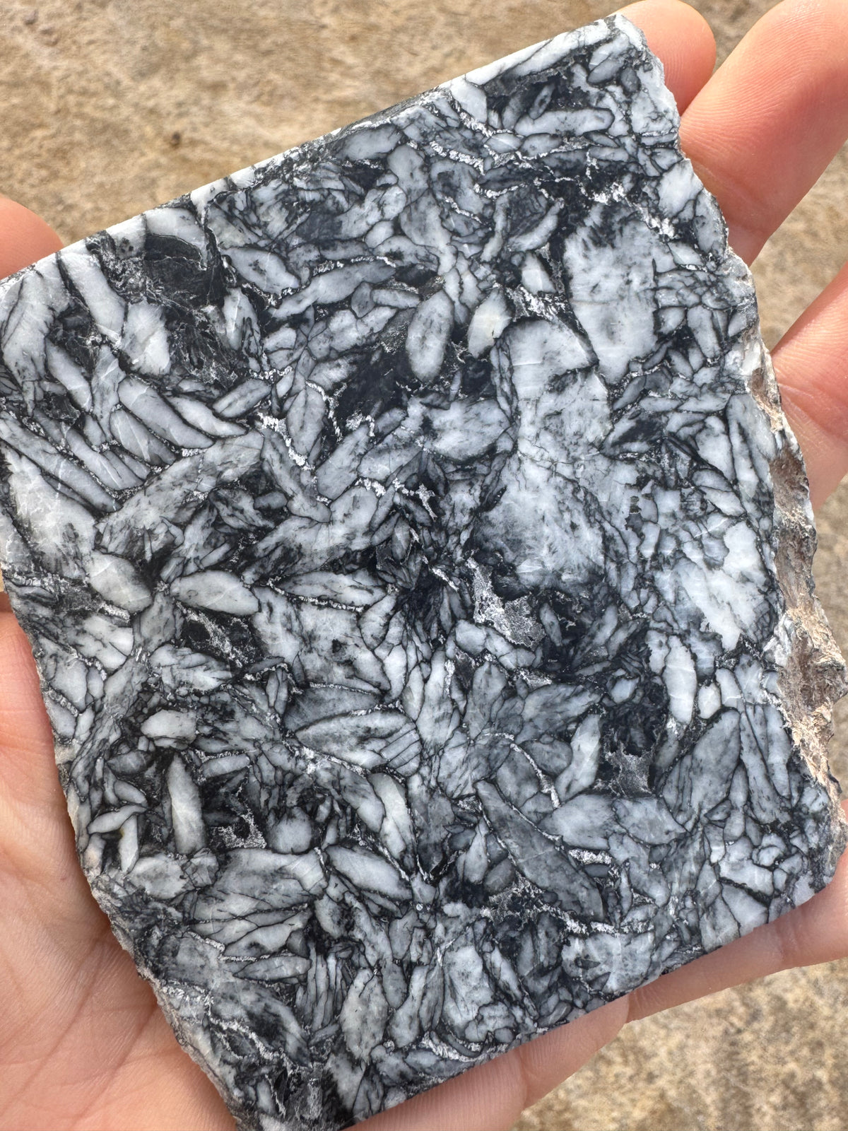 Pinolith Slab 129g