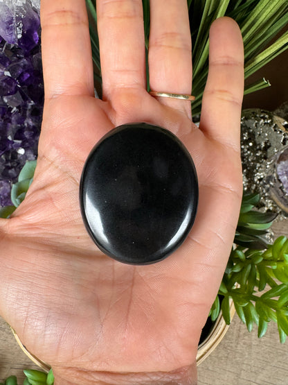 Australian Black Jade Palm Stone