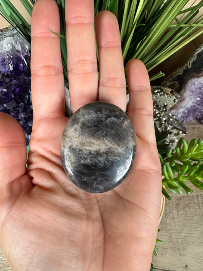 Black Moonstone Palm Stone