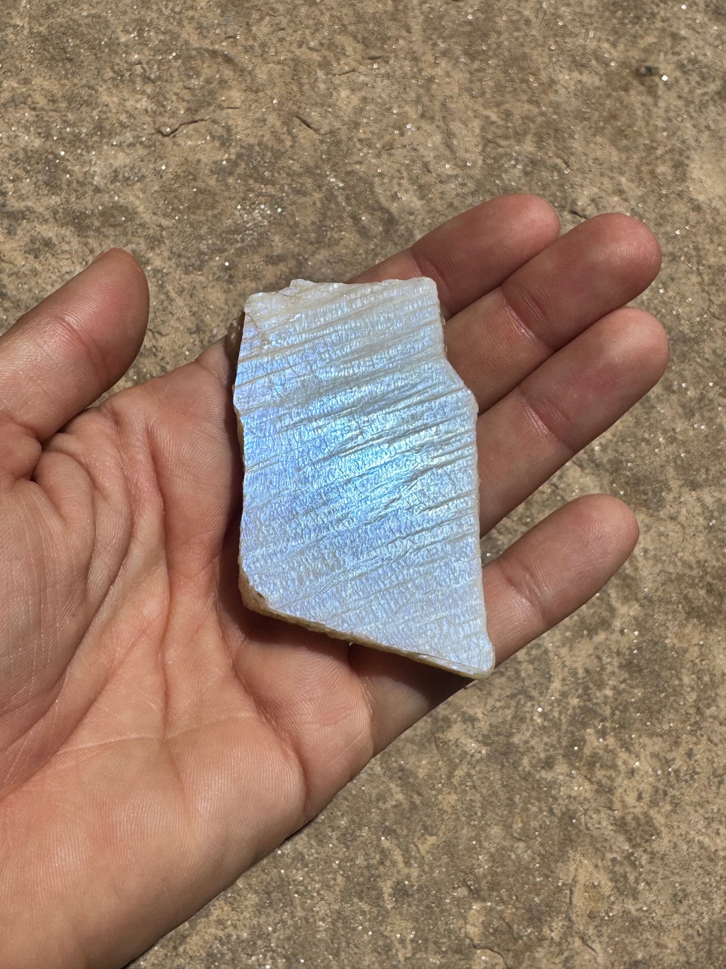 Blue Flash Moonstone Polished Slab 48g