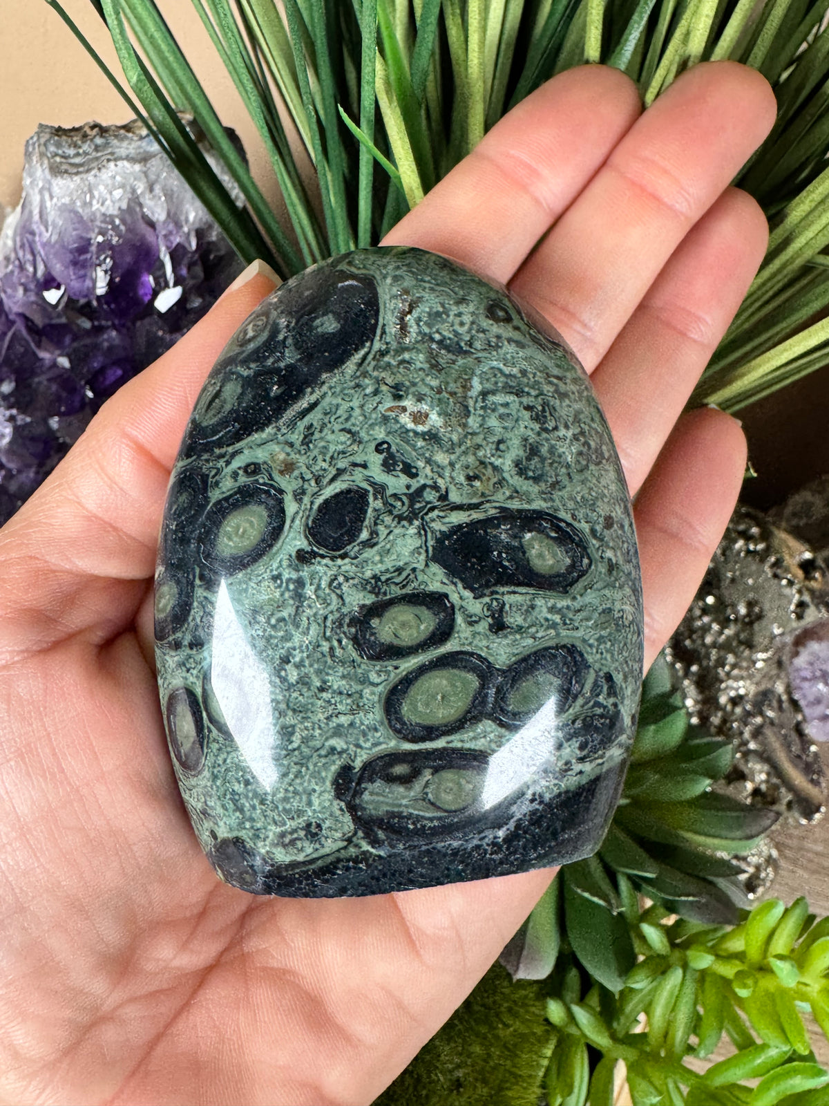 Kambaba Jasper Freeform