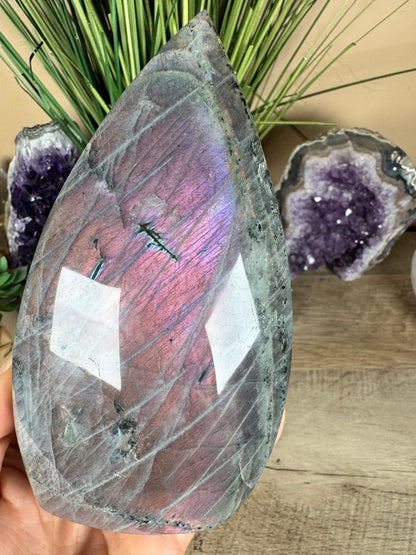 Polished Sunset Labradorite Flame 5.85in