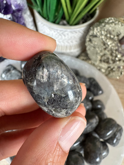Larvikite Tumble
