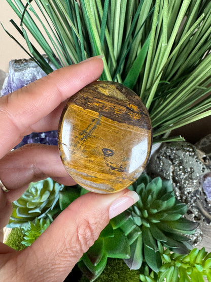 Lionskin Palm Stone