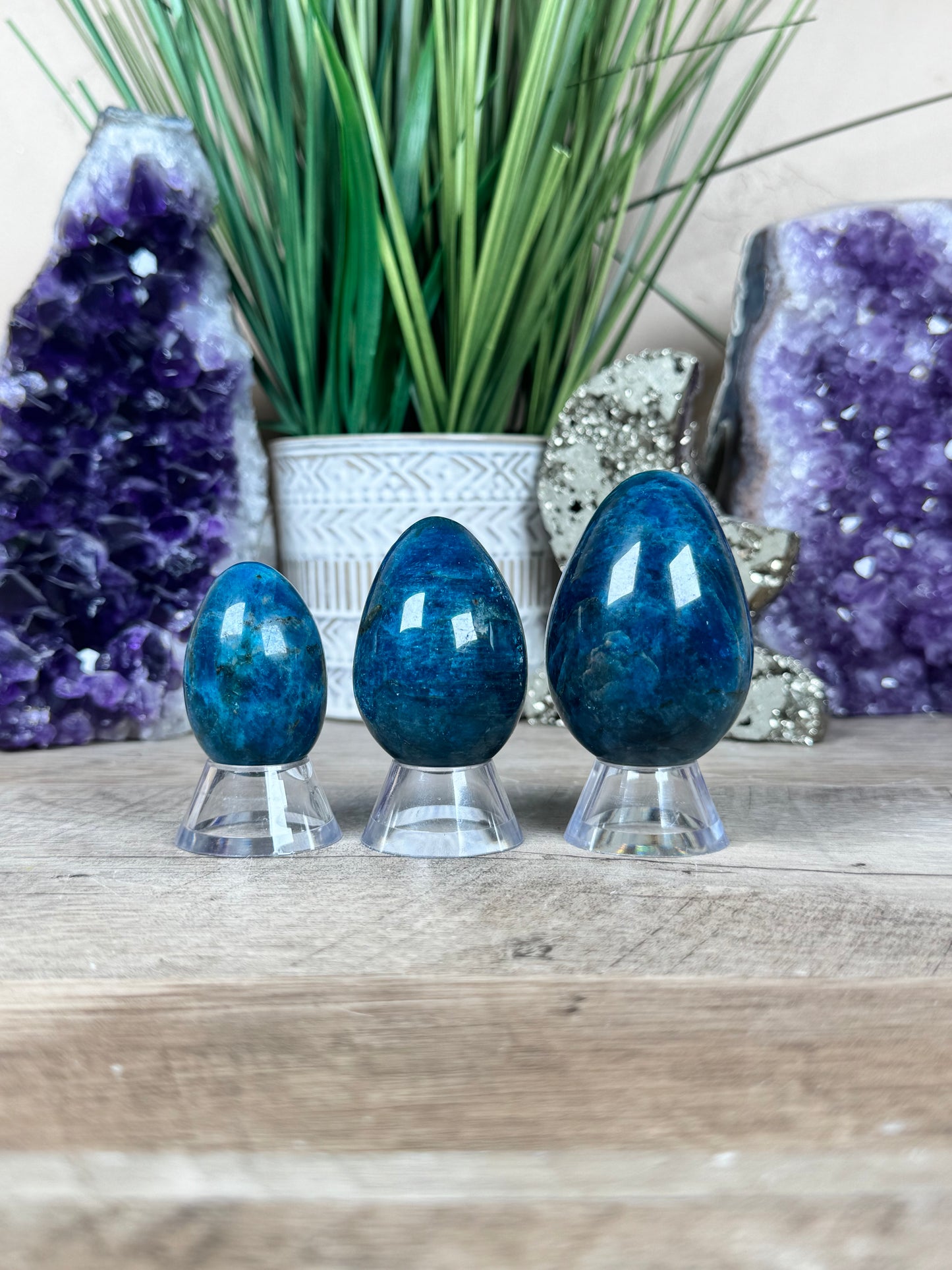 Blue Apatite Eggs