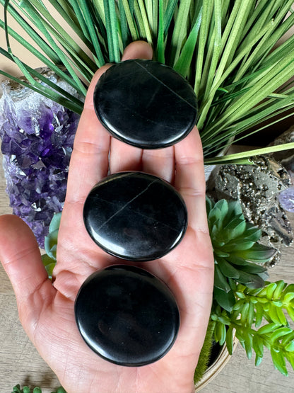 Australian Black Jade Palm Stone