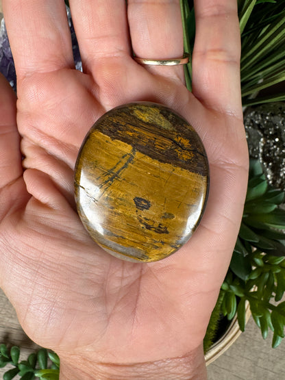 Lionskin Palm Stone