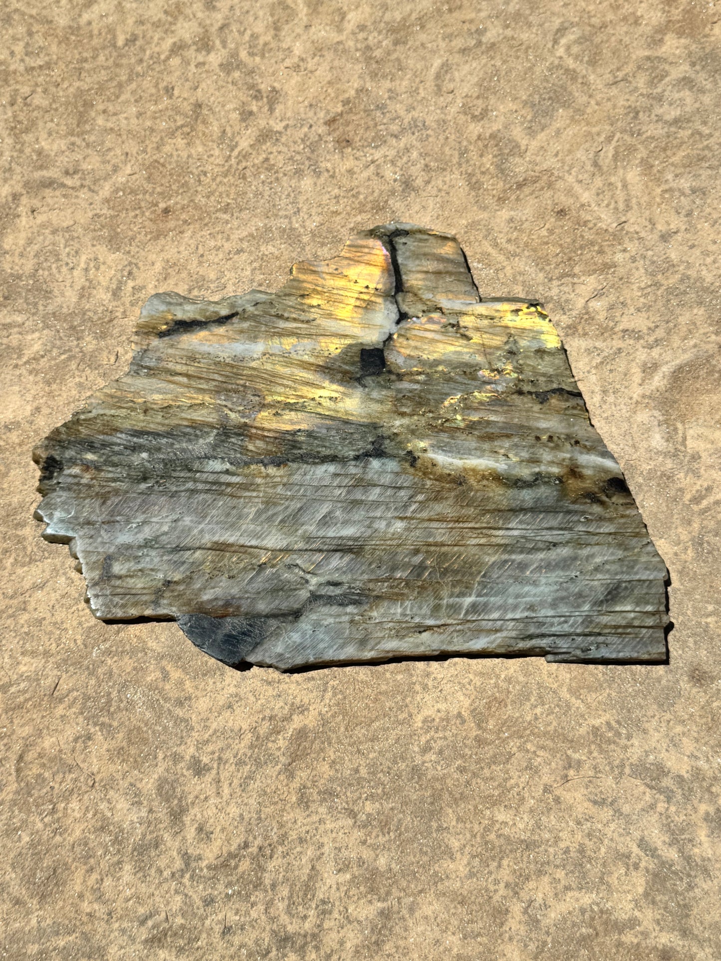 XL Golden Flash Labradorite Polished Slab 1154g