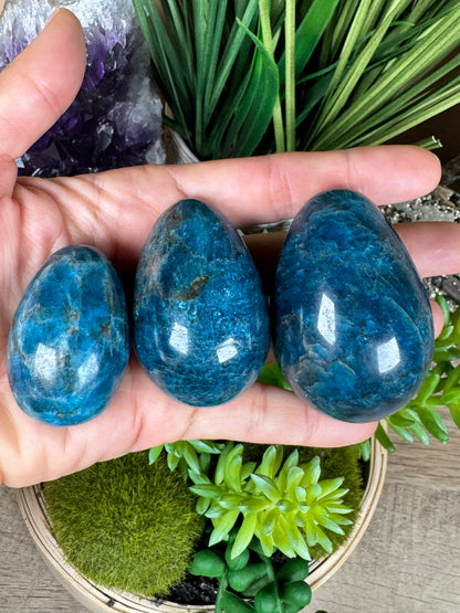 Blue Apatite Eggs