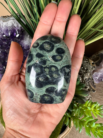 Kambaba Jasper Freeform