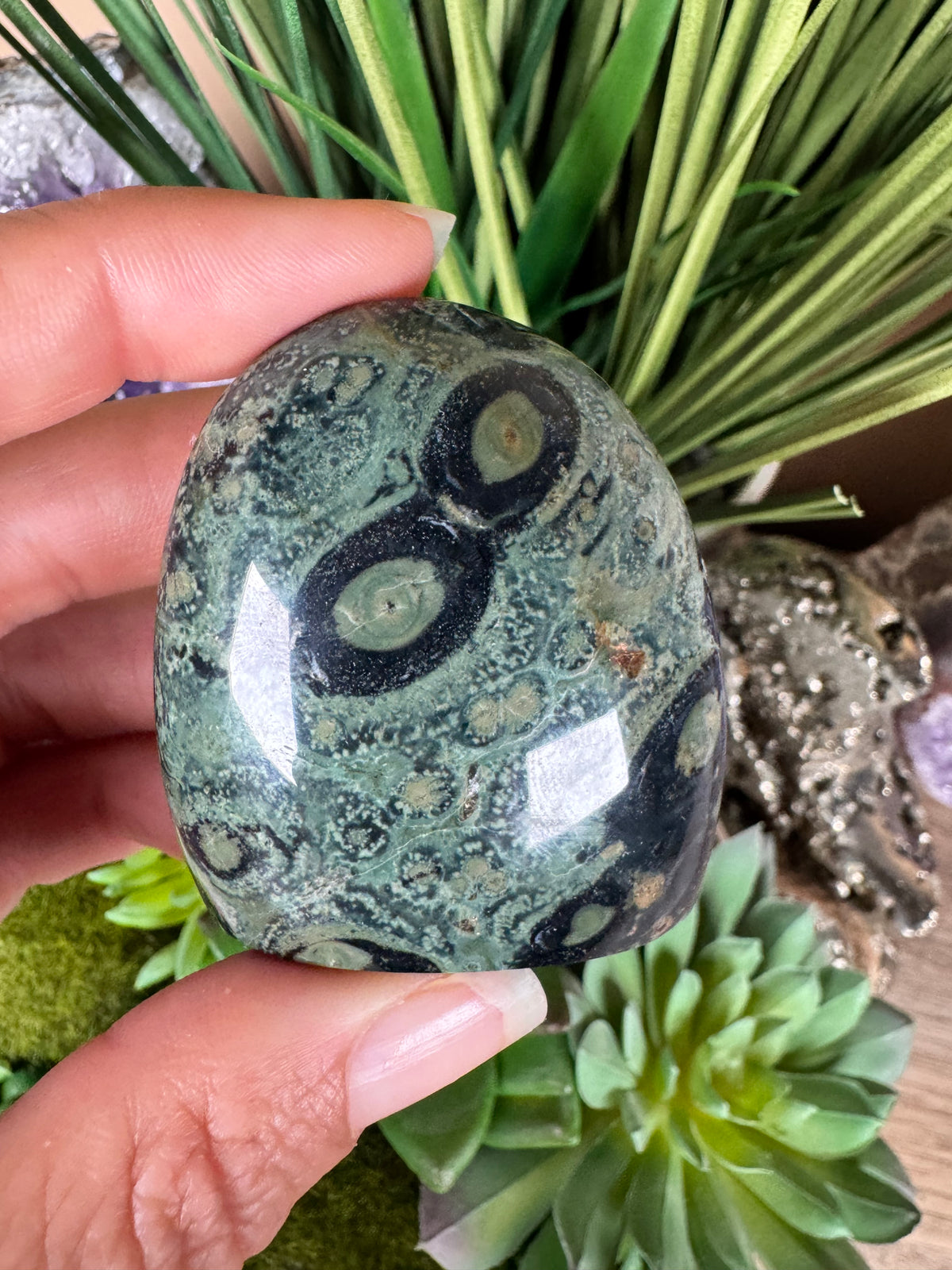 Kambaba Jasper Freeform - Small