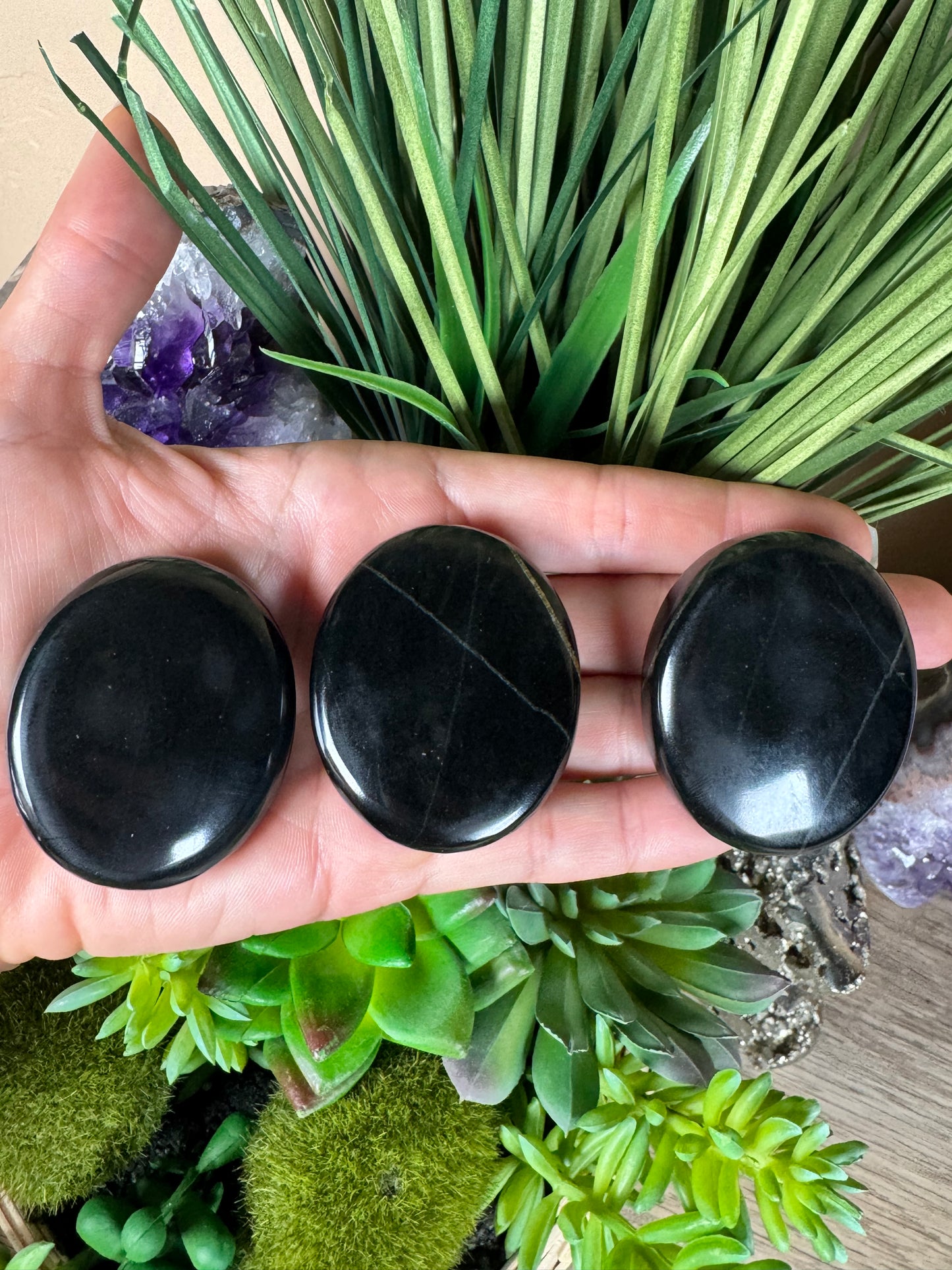 Australian Black Jade Palm Stone