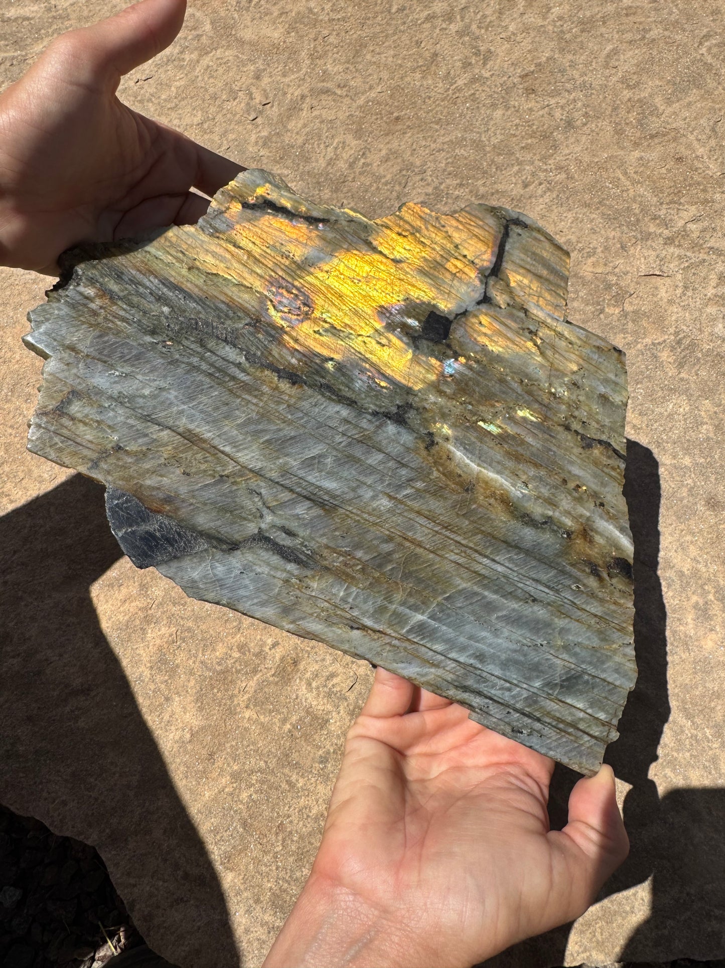 XL Golden Flash Labradorite Polished Slab 1154g