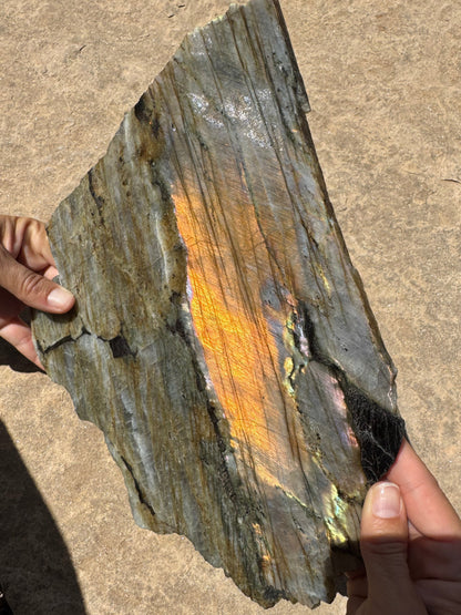 XL Golden Flash Labradorite Polished Slab 1154g