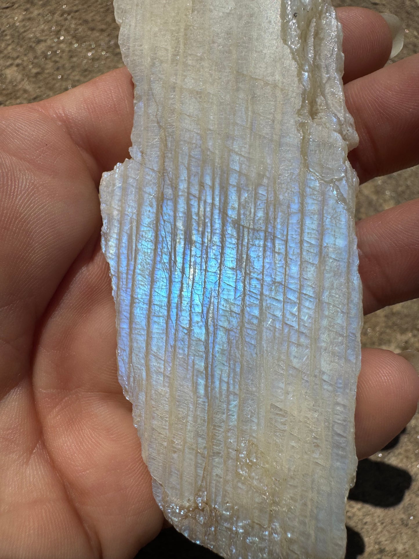 Blue Flash Moonstone Polished Slab 85g