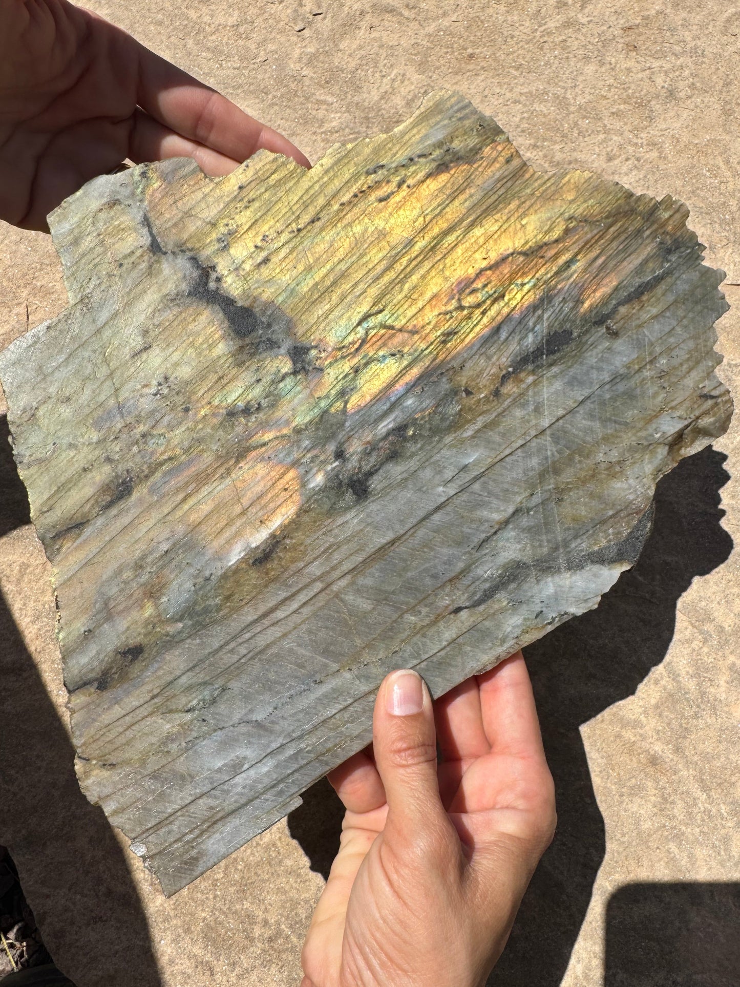 XL Golden Flash Labradorite Polished Slab 1154g