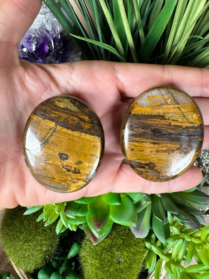 Lionskin Palm Stone