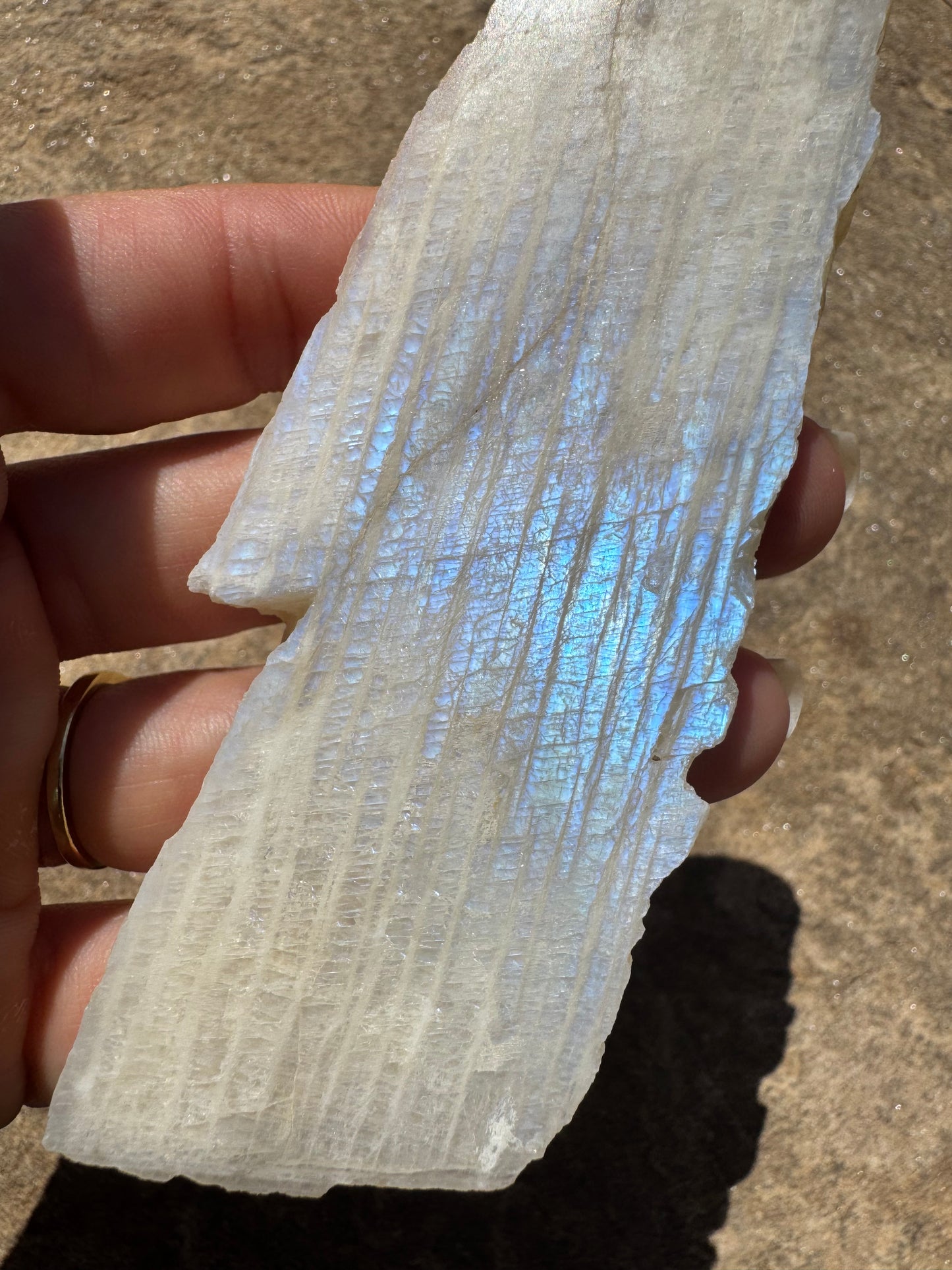 Blue Flash Moonstone Polished Slab 85g