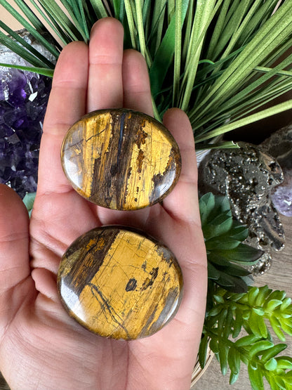 Lionskin Palm Stone