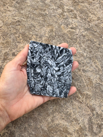 Pinolith Slab 129g