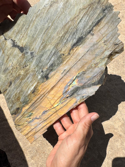 XL Golden Flash Labradorite Polished Slab 1154g