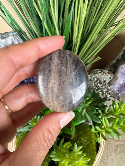 Black Moonstone Palm Stone